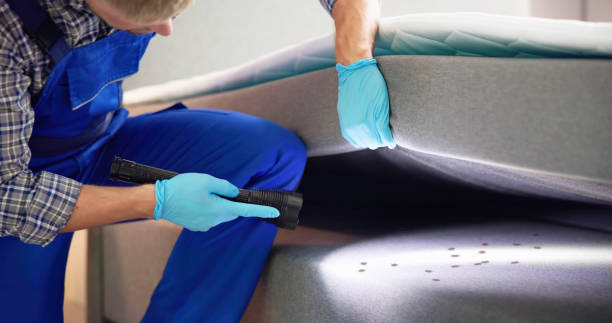 Best Pest Control Near Me  in Honaker, VA